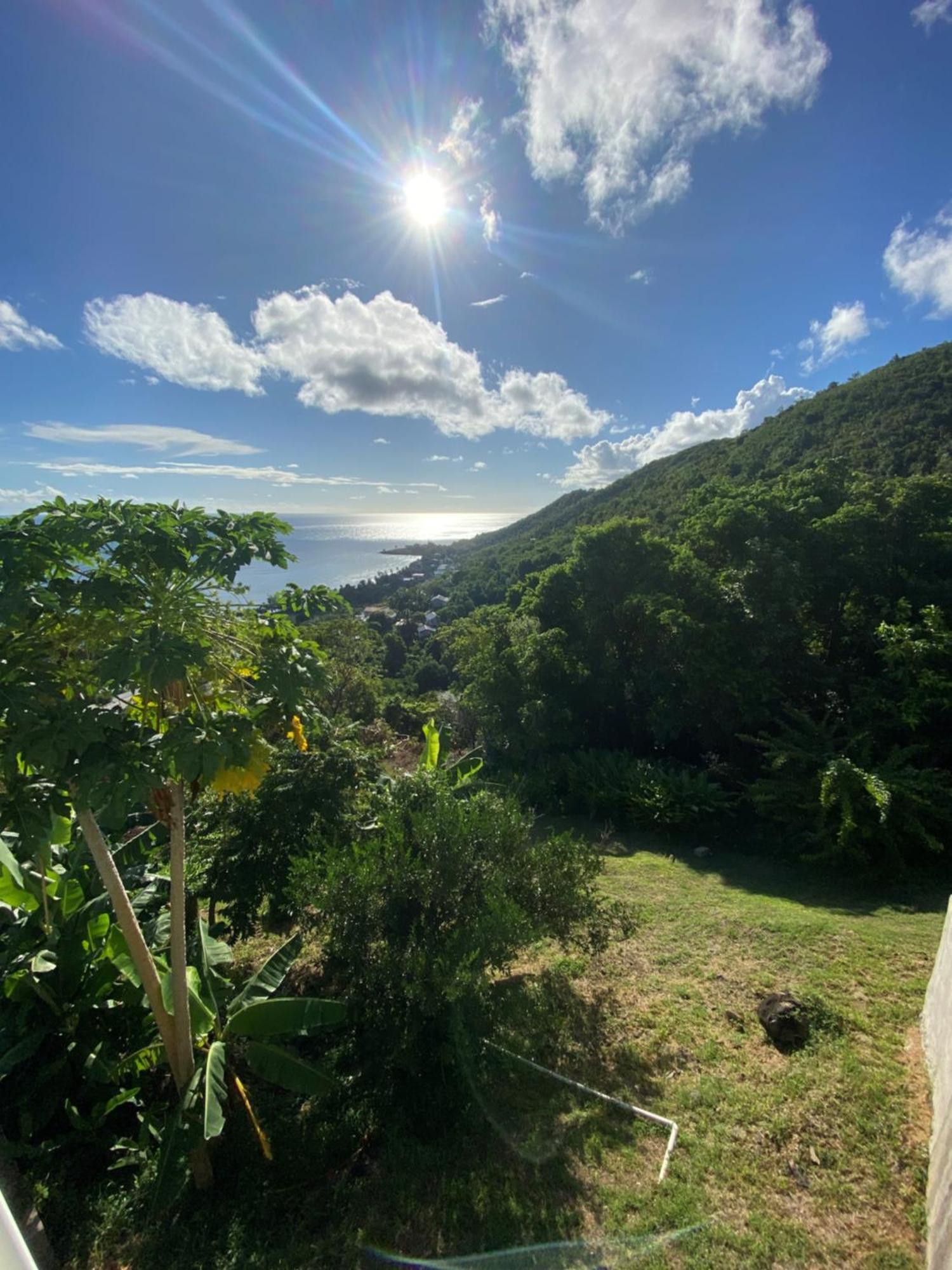 Greenhouse On The Hill, Sea View Studio Apartment Laborie Exterior foto